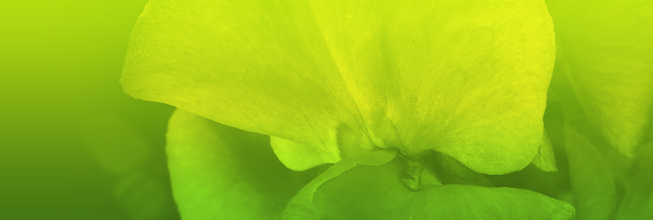 泡泡短信压力测试官网